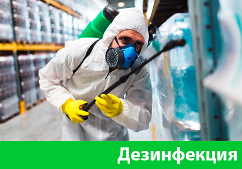 Дезинфекция в городе Крвсноярск