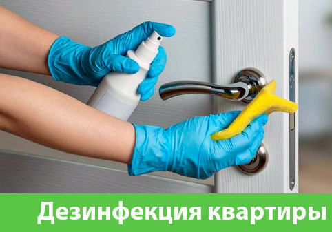 Дезинфекция квартиры в городе Крвсноярск