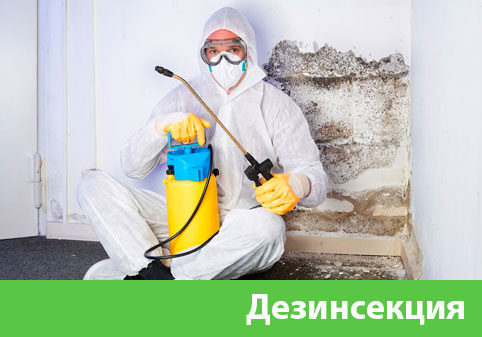 Дезинсекция в городе Крвсноярск