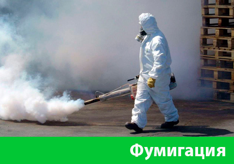 Фумигация в городе Крвсноярск