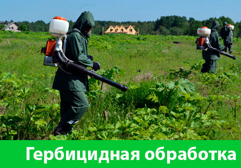 Гербицидная обработка в городе Крвсноярск