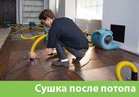 Сушка после потопа в городе Крвсноярск
