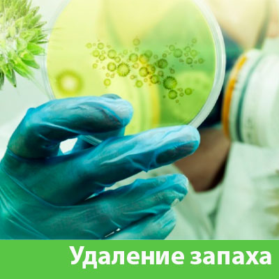 Удаление запахов в Красноярске