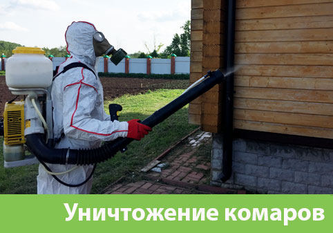 Уничтожение комаров в городе Крвсноярск