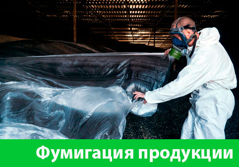 Фумигация продукции в городе Крвсноярск